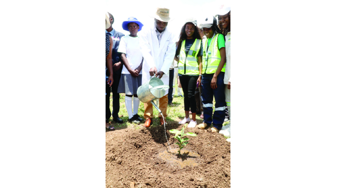 Tree planting drive improves livelihoods