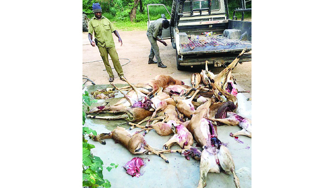 Poaching syndicates descend on safari