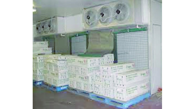 Post-harvest cooling infrastructure critical for farmers
