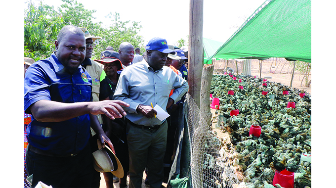 SeedCo eyes increase in hard currency revenue