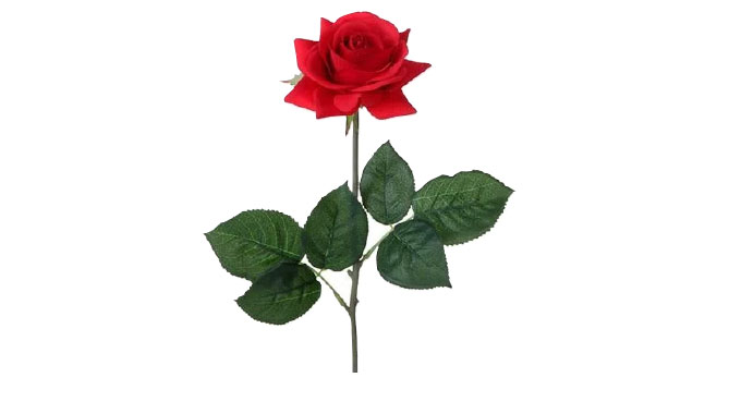 Valentine’s Day: When words alone are not enough to express love