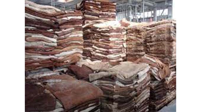 Hide drying company raises stink in industrial area