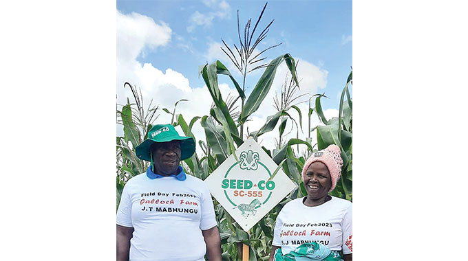 Umzingwane farmer showcases thriving crop