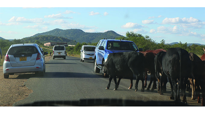 Cattle impounding; implications, complications and lessons
