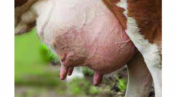 Understanding problems of the udder in your cows