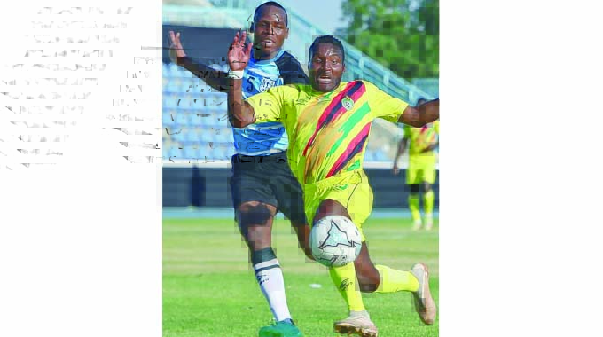 Warriors fall to Zebras