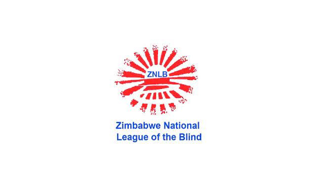 Zim commemorates World Braille Day