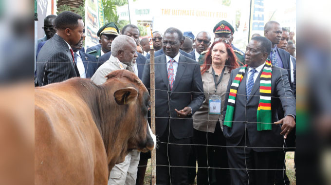 Zimbabwe’s path to prosperity