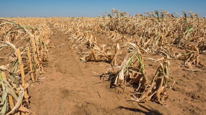 World Bank warns of grim future