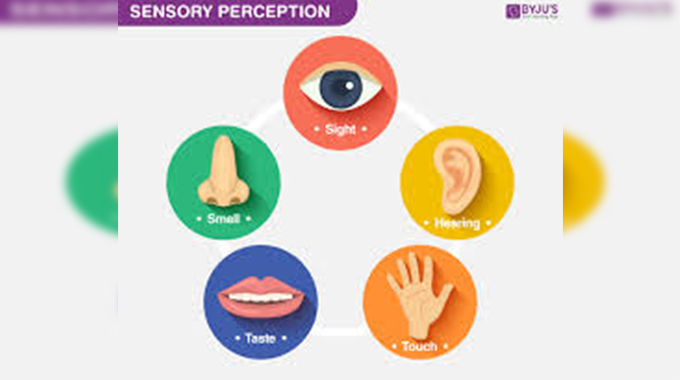 Using your senses to capture description