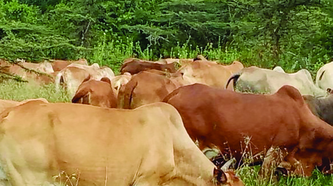 Improved management of communal infrastructure