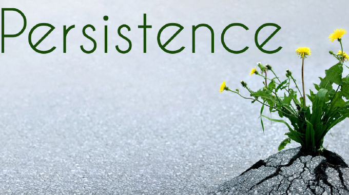 Patience and persistence