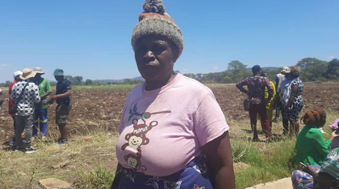 Mushandike irrigation offers a lifeline for villagers