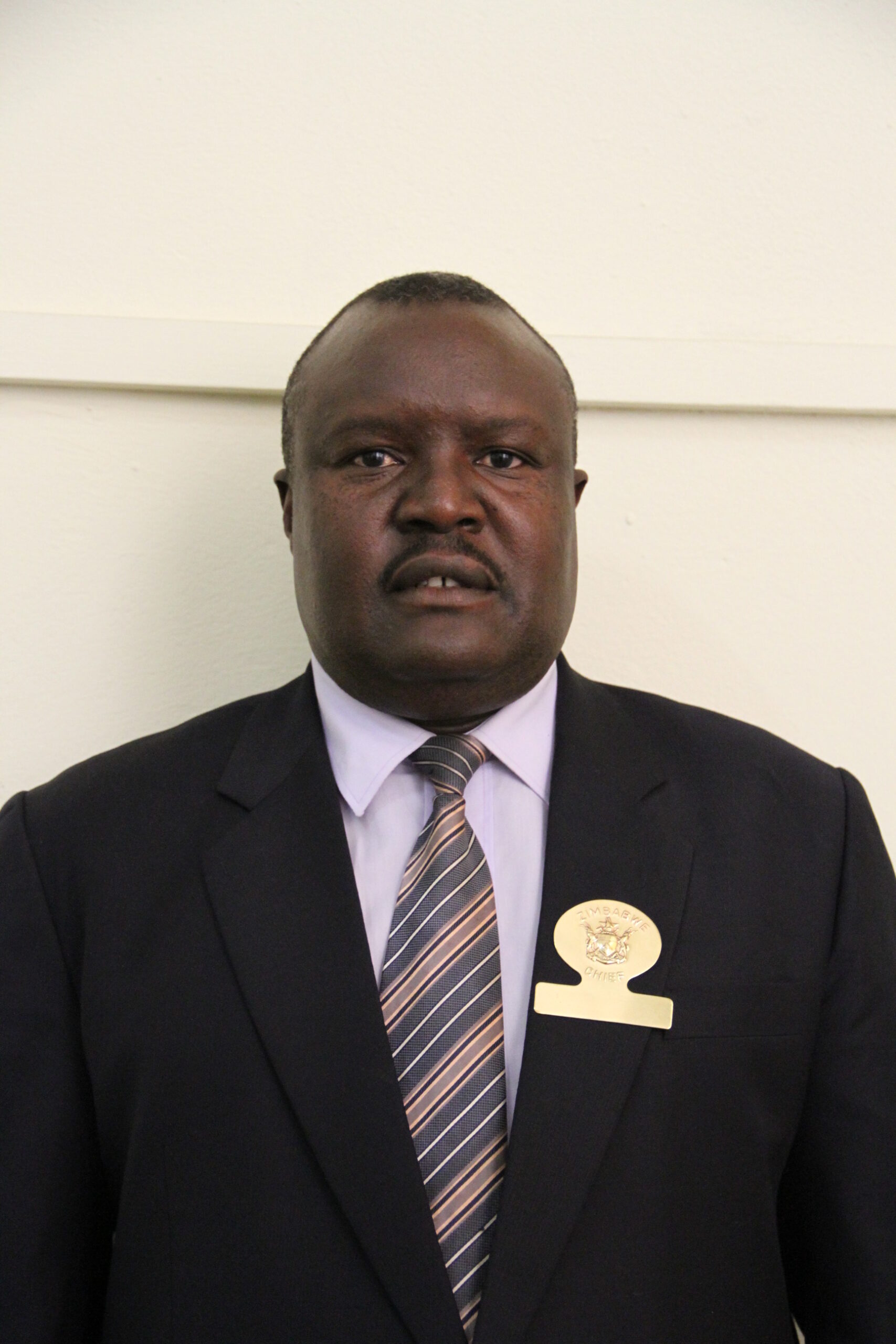 Chief Charumbira rubbishes reports he called for GNU