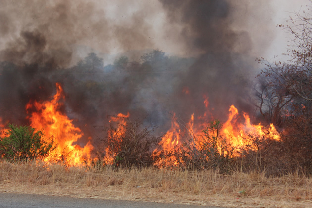 We are now in the middle of the fire season, and veld fires pose a significant and escalating threat to Manicaland’s environment, economy, and communities