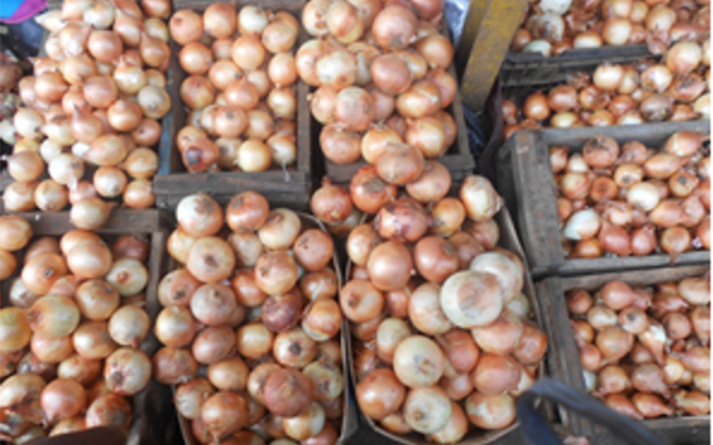 Zim horticultural output jumps 13pc