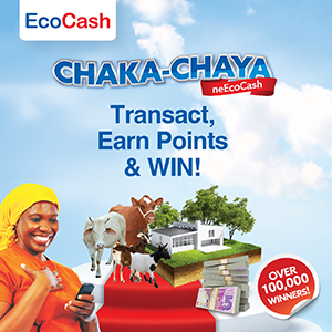 NEW: Fintech company EcoCash’s promotion enters final stretch