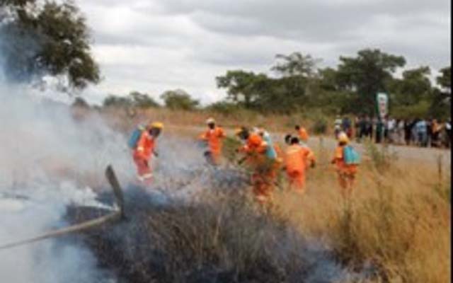 Measures to combat veld fires unveiled