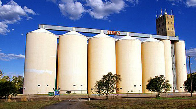 JUST IN: Farmers deliver more than 70 000 tonnes of grain