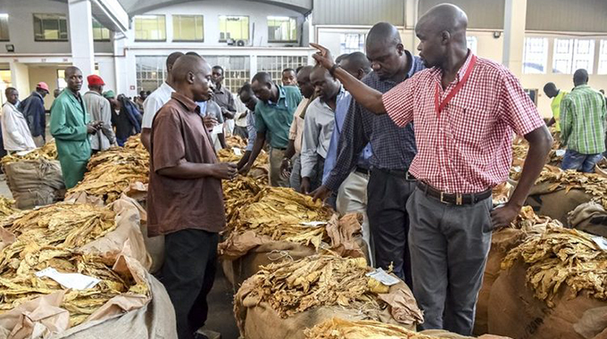 Tobacco deliveries hit record 238m kg