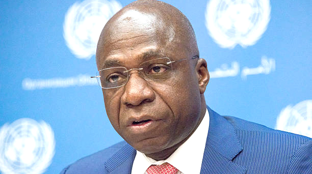 ED meets Sadc, AU observers