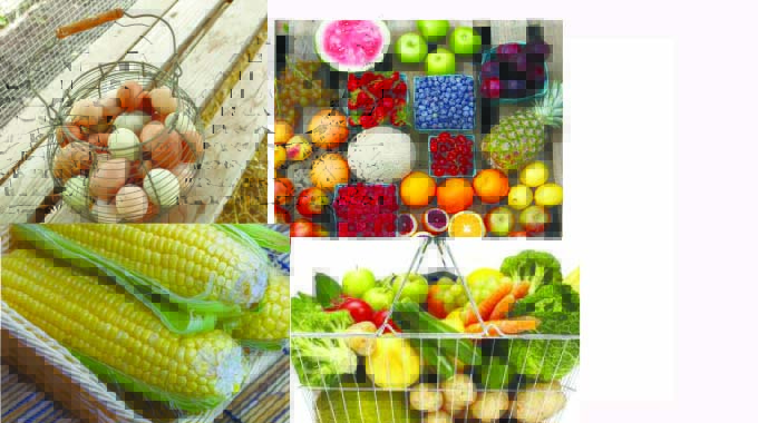Balance in African food ecosystems
