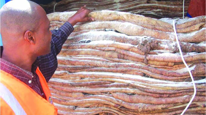 ‘Shun exporting raw hides, maximise on value addition’