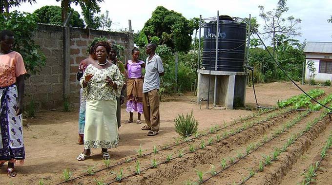 Malawi turns to solar irrigation