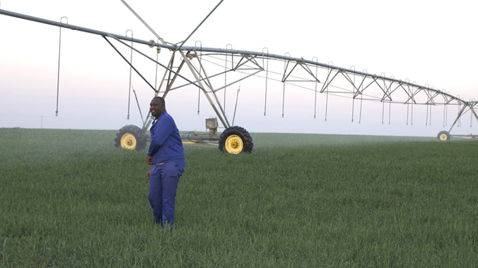 Farmer turns chrome fields into greenbelt