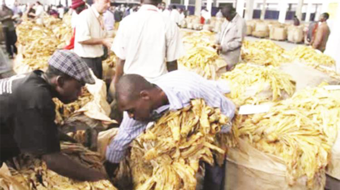 New union for tobacco farmers