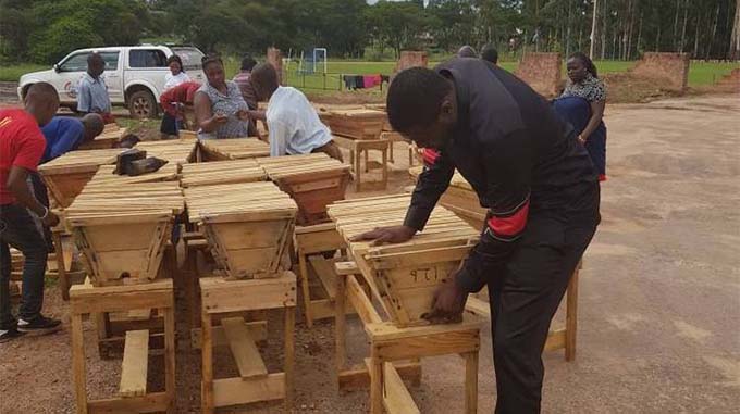 Using technology to track beehives