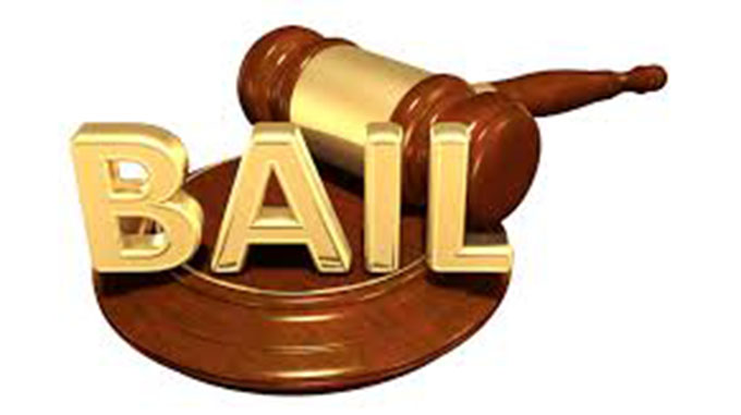 MDCA protesters freed on bail