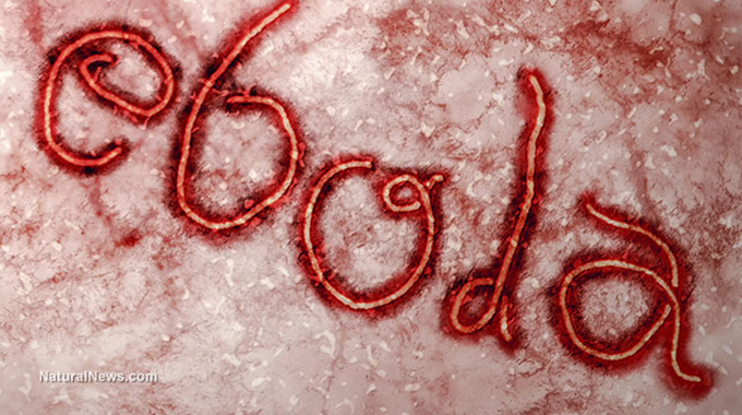 Health workers battle Ebola and fear