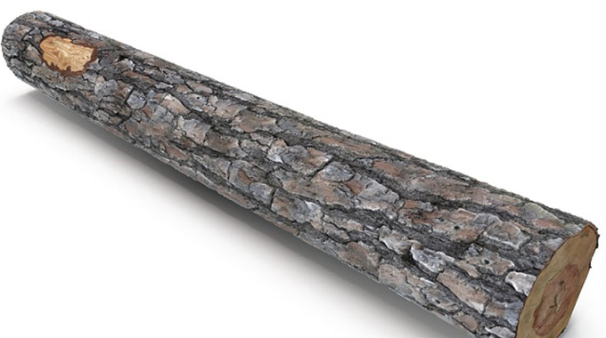 Woman attacks hubby with log