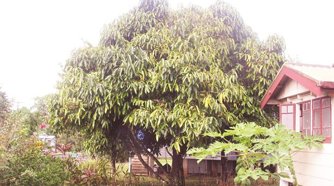 Grow fruit trees, farmers urged