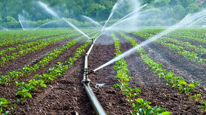 Power failure hits Beitbridge irrigation schemes hard