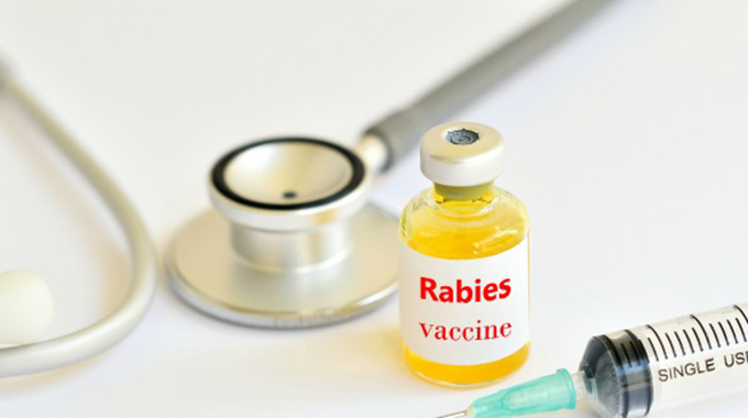 Rabies outbreak in Mberengwa