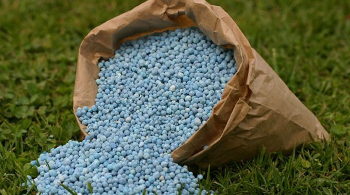Editorial Comment: Agric inputs suppliers need mindset shift
