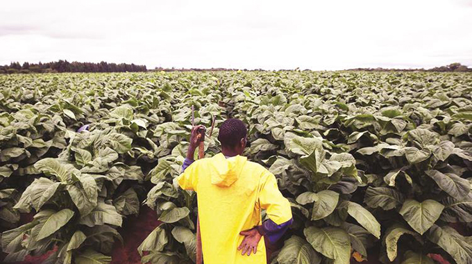 Govt must identify extension officers for its programmes