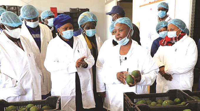 Set export targets: Provinces advised