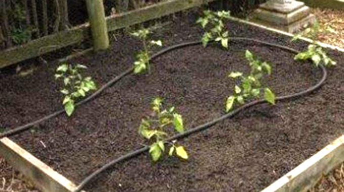 Tips on saving water in the garden