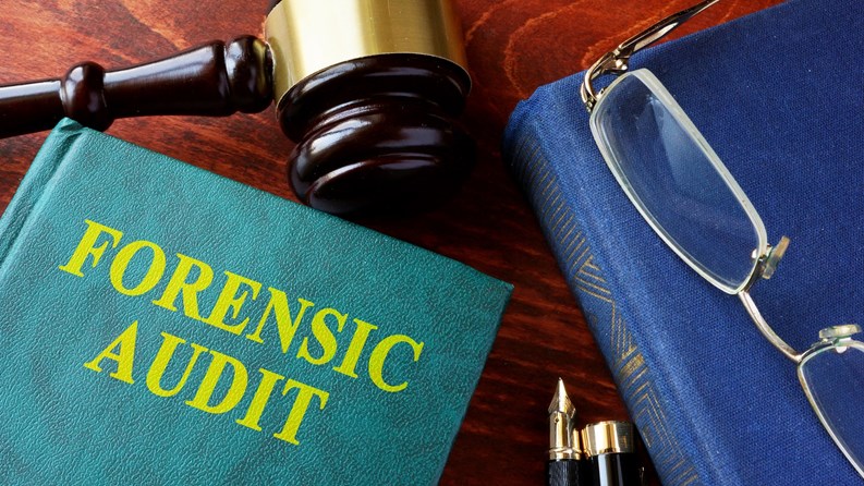 External, internal and forensic audit reports at law