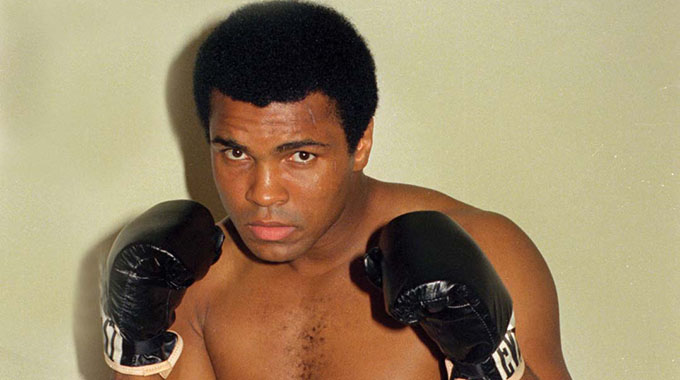 Five years, five fights and three greats
