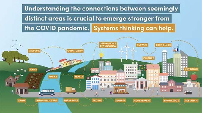 How to reimagine our food systems for a post-COVID world