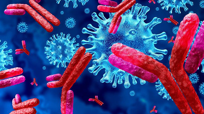 Immunity to Covid-19 rapidly declines, research shows