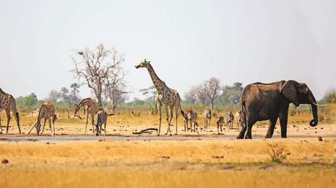 Makumbiri Game Park officially opened
