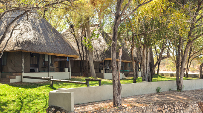 Nyanyana: The grand spectacle