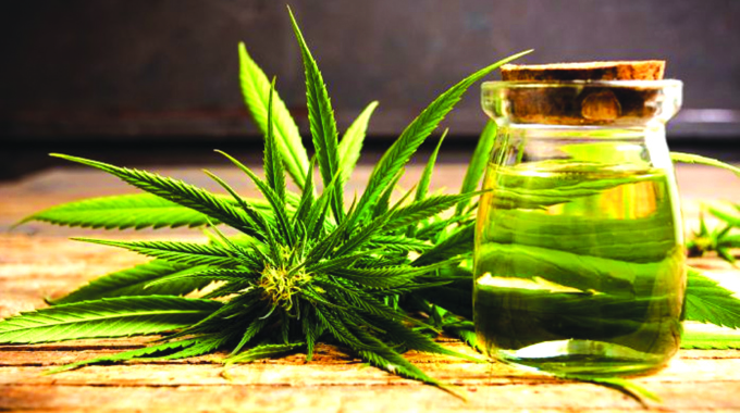 Mthuli targets US$1bn from Cannabis Levy