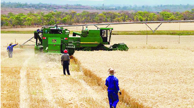 2021 winter wheat target to ensure national self sufficiency