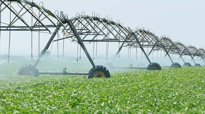 Chiduku Irrigation Scheme has changed lives for many rural farmers in Makoni South